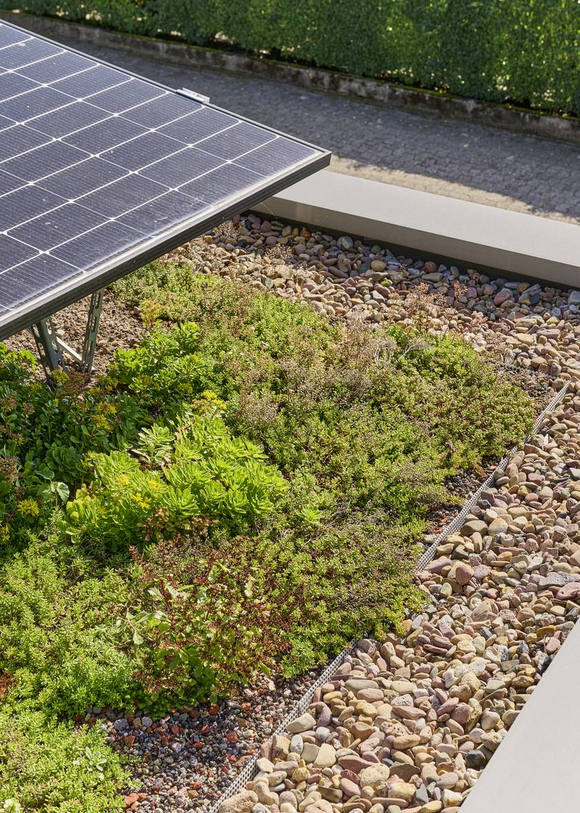 Gründach mit angrenzender Photovoltaikanlage